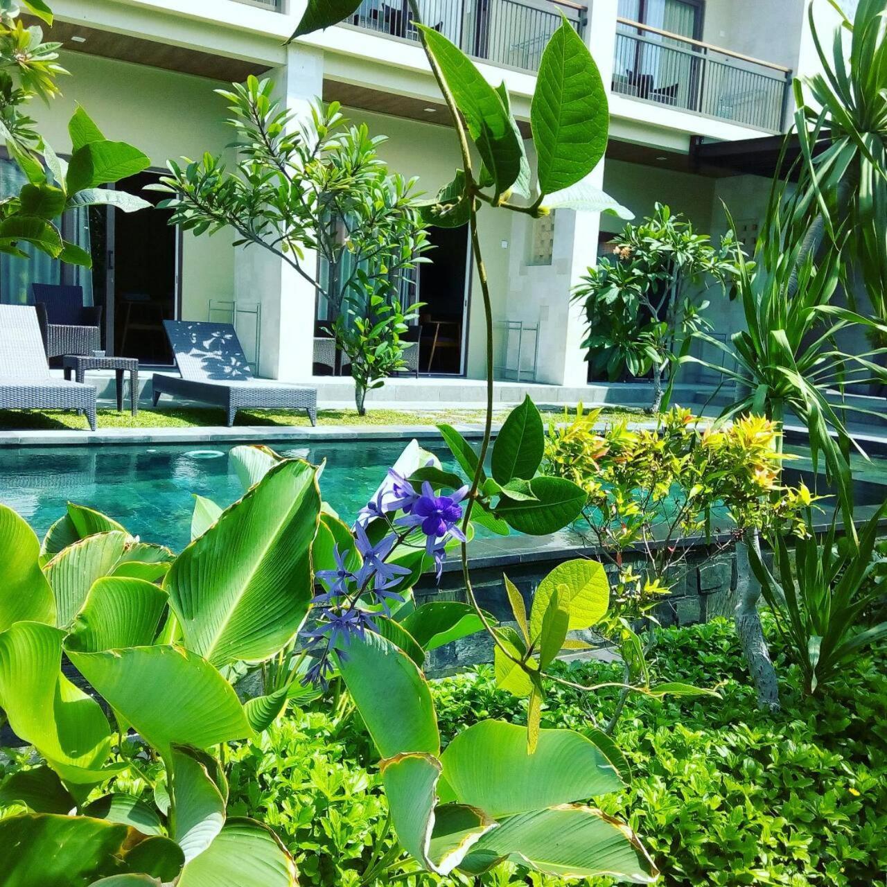 Arnaya Homestay Kuta Lombok Eksteriør billede